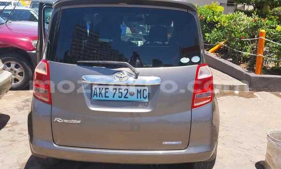 Buy Used Toyota Ractis Brown Car in Maputo in Maputo Buy Used Toyota Ractis Brown Car in Maputo in Maputo