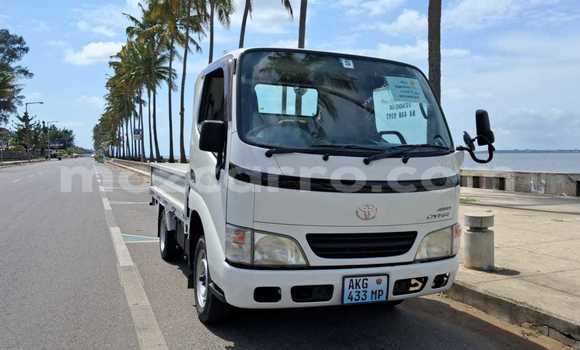 Comprar Novo Toyota Dyna Branco Caminhão em Maputo em Maputo