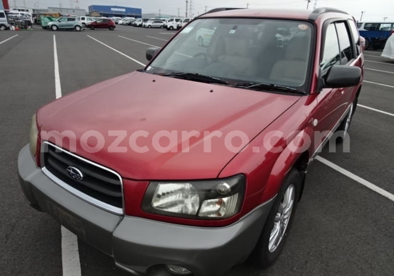 Big with watermark subaru forester nampula nampula 33728