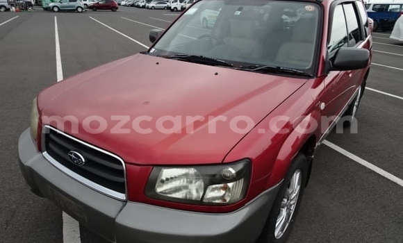 Comprar Usado Subaru Forester Vermelho Carro em Nampula em Nampula