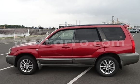 Comprar Usado Subaru Forester Vermelho Carro em Nampula em Nampula Comprar Usado Subaru Forester Vermelho Carro em Nampula em Nampula