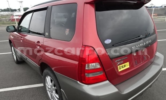 Comprar Usado Subaru Forester Vermelho Carro em Nampula em Nampula Comprar Usado Subaru Forester Vermelho Carro em Nampula em Nampula
