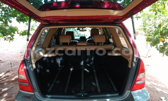 Comprar Usado Subaru Forester Vermelho Carro em Nampula em Nampula Comprar Usado Subaru Forester Vermelho Carro em Nampula em Nampula