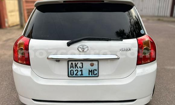 Tenga Tsaru Toyota Allex Chena Mota in Maputo in Maputo Tenga Tsaru Toyota Allex Chena Mota in Maputo in Maputo