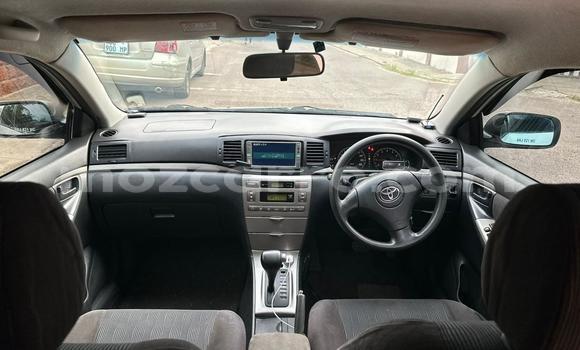 Tenga Tsaru Toyota Allex Chena Mota in Maputo in Maputo Tenga Tsaru Toyota Allex Chena Mota in Maputo in Maputo