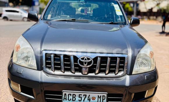 Buy Used Toyota Land Cruiser Prado Other Car in Maputo in Maputo