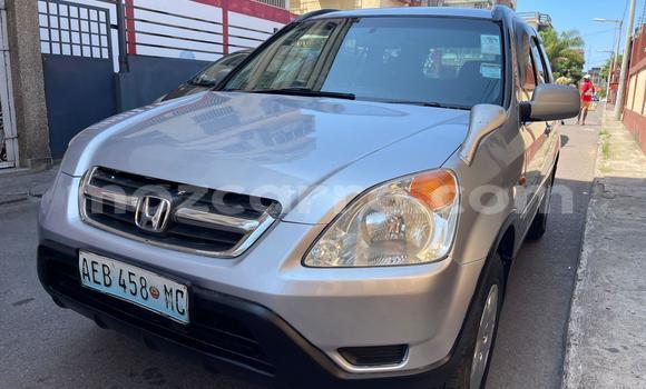 Comprar Usado Honda CR-V De outros Carro em Maputo em Maputo Comprar Usado Honda CR-V De outros Carro em Maputo em Maputo
