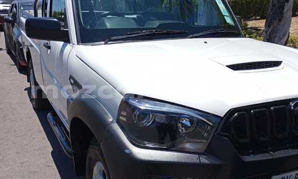 Tenga Tsaru Mahindra Armada Chena Mota in Maputo in Maputo Tenga Tsaru Mahindra Armada Chena Mota in Maputo in Maputo