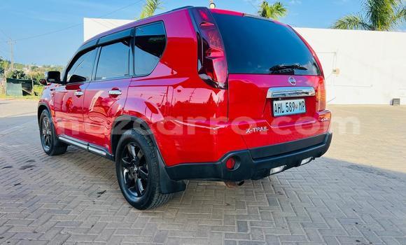 Buy Used Nissan X-Trail Red Car in Maputo in Maputo Buy Used Nissan X-Trail Red Car in Maputo in Maputo