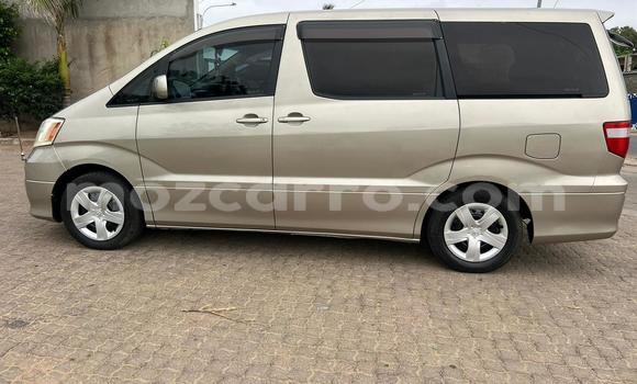 Comprar Usado Toyota Alphard Castanho Carro em Maputo em Maputo Comprar Usado Toyota Alphard Castanho Carro em Maputo em Maputo