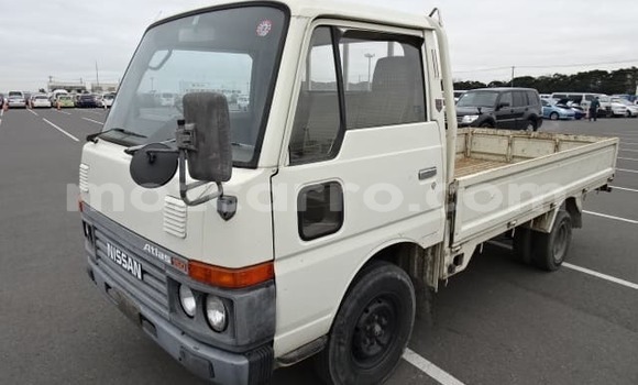 Tenga Tsaru Nissan UD Chena Rori in Beira in Sofala