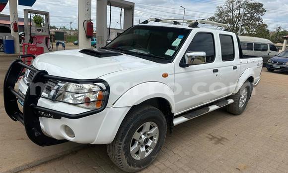 Nunua Ilio tumika Nissan Hardbody Nyeupe Gari ndani ya Maputo nchini Maputo Nunua Ilio tumika Nissan Hardbody Nyeupe Gari ndani ya Maputo nchini Maputo
