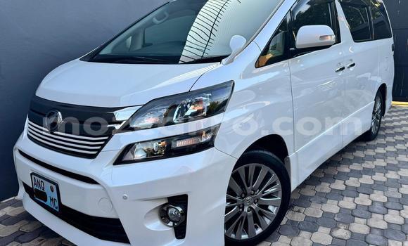 Comprar Novo Toyota Vellfire Branco Carro em Maputo em Maputo