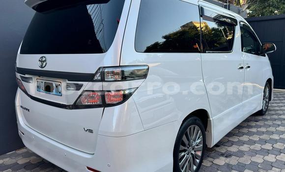 Tenga Itsva Toyota Vellfire Chena Mota in Maputo in Maputo Tenga Itsva Toyota Vellfire Chena Mota in Maputo in Maputo