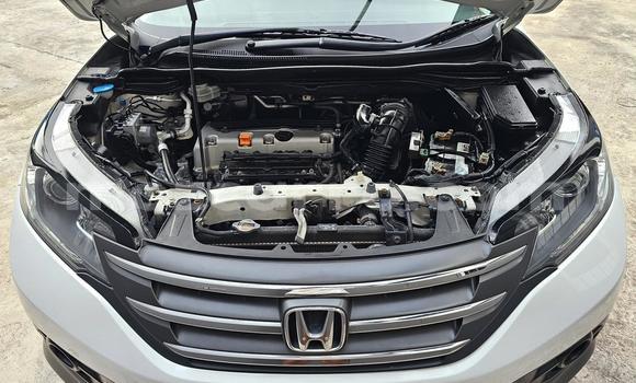 Tenga Tsaru Honda CR-V Chena Mota in Maputo in Maputo Tenga Tsaru Honda CR-V Chena Mota in Maputo in Maputo