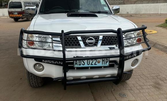 Comprar Usado Nissan Hardbody Branco Carro em Maputo em Maputo