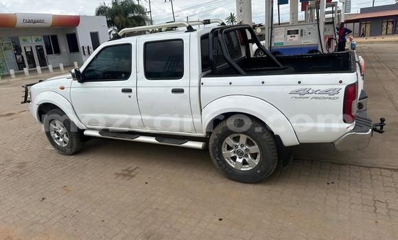 Nunua Ilio tumika Nissan Hardbody Nyeupe Gari ndani ya Maputo nchini Maputo Nunua Ilio tumika Nissan Hardbody Nyeupe Gari ndani ya Maputo nchini Maputo