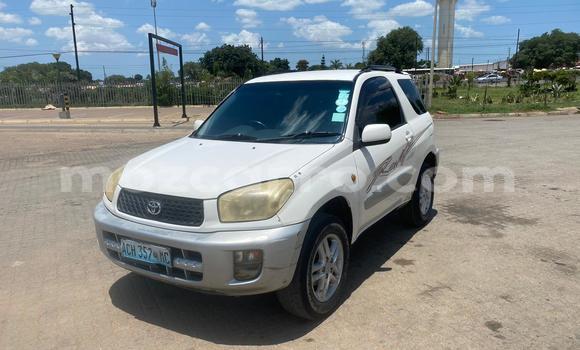 Tenga Tsaru Toyota RAV4 Chena Mota in Maputo in Maputo