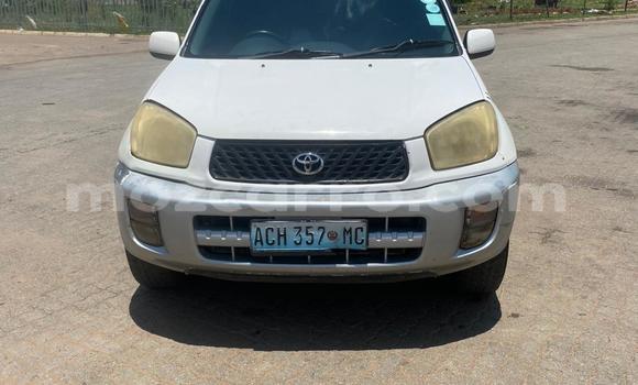 Buy Used Toyota RAV4 White Car in Maputo in Maputo Buy Used Toyota RAV4 White Car in Maputo in Maputo