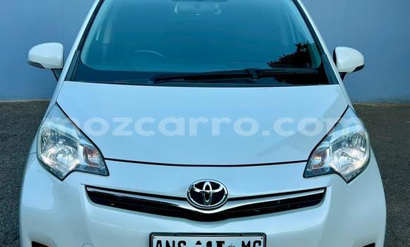 Tenga Tsaru Toyota Ractis Chena Mota in Maputo in Maputo