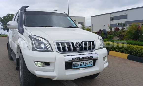 Nunua Ilio tumika Toyota Prado Nyeupe Gari ndani ya Maputo nchini Maputo Nunua Ilio tumika Toyota Prado Nyeupe Gari ndani ya Maputo nchini Maputo