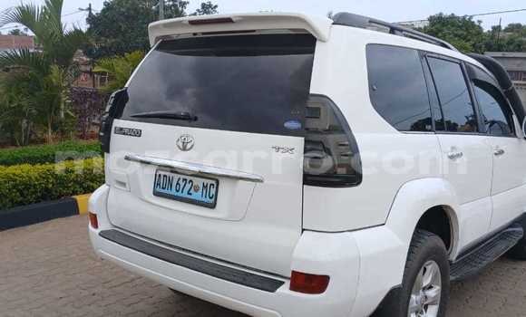 Nunua Ilio tumika Toyota Prado Nyeupe Gari ndani ya Maputo nchini Maputo Nunua Ilio tumika Toyota Prado Nyeupe Gari ndani ya Maputo nchini Maputo