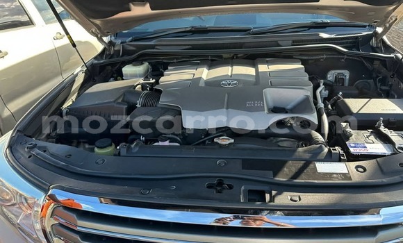 Buy New Toyota Land Cruiser Beige Car in Maputo in Maputo Buy New Toyota Land Cruiser Beige Car in Maputo in Maputo