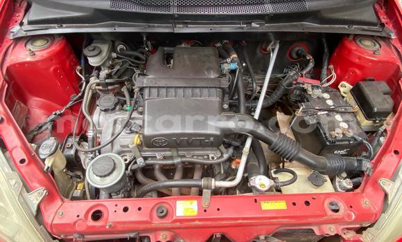 Nunua Ilio tumika Toyota Vitz Nyekundu Gari ndani ya Maputo nchini Maputo Nunua Ilio tumika Toyota Vitz Nyekundu Gari ndani ya Maputo nchini Maputo