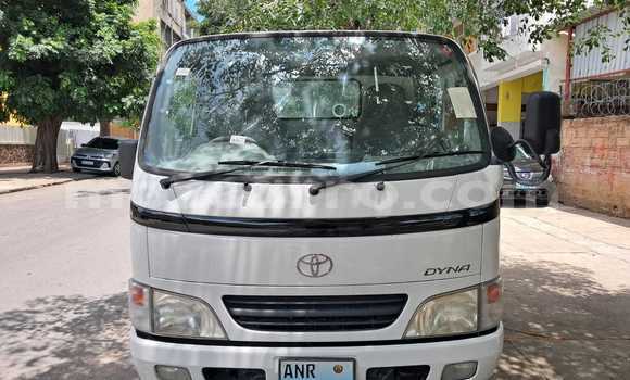 Comprar Novo Toyota Dyna Branco Caminhão em Maputo em Maputo Comprar Novo Toyota Dyna Branco Caminhão em Maputo em Maputo