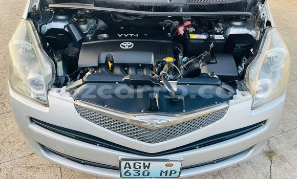 Tenga Tsaru Toyota Ractis Sirivha Mota in Maputo in Maputo Tenga Tsaru Toyota Ractis Sirivha Mota in Maputo in Maputo