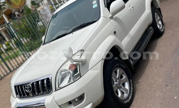 Tenga Tsaru Toyota Land Cruiser Prado Bhurawuni Mota in Maputo in Maputo Tenga Tsaru Toyota Land Cruiser Prado Bhurawuni Mota in Maputo in Maputo