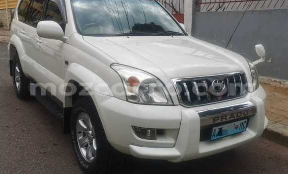 Buy New Toyota Land Cruiser Prado White Car in Maputo in Maputo Buy New Toyota Land Cruiser Prado White Car in Maputo in Maputo
