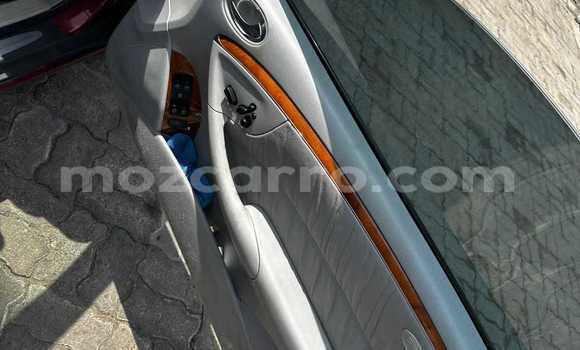 Buy Used Mercedes‒Benz CLK-klasse Red Car in Maputo in Maputo Buy Used Mercedes‒Benz CLK-klasse Red Car in Maputo in Maputo