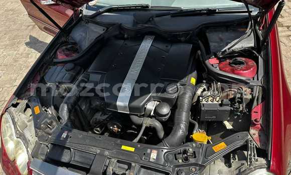 Buy Used Mercedes‒Benz CLK-klasse Red Car in Maputo in Maputo Buy Used Mercedes‒Benz CLK-klasse Red Car in Maputo in Maputo