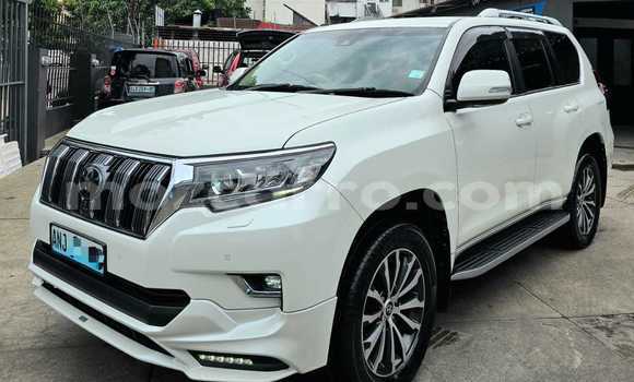 Comprar Novo Toyota Land Cruiser Branco Carro em Maputo em Maputo