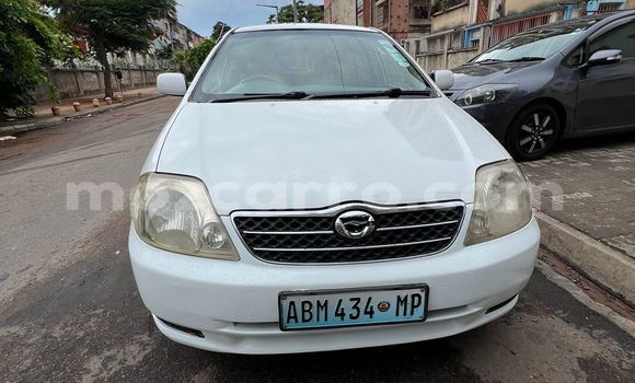 Buy Used Toyota Corolla White Car in Maputo in Maputo