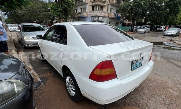 Comprar Usado Toyota Corolla Branco Carro em Maputo em Maputo Comprar Usado Toyota Corolla Branco Carro em Maputo em Maputo