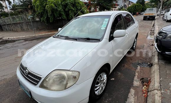 Comprar Usado Toyota Corolla Branco Carro em Maputo em Maputo Comprar Usado Toyota Corolla Branco Carro em Maputo em Maputo