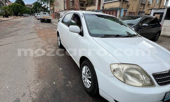 Comprar Usado Toyota Corolla Branco Carro em Maputo em Maputo Comprar Usado Toyota Corolla Branco Carro em Maputo em Maputo