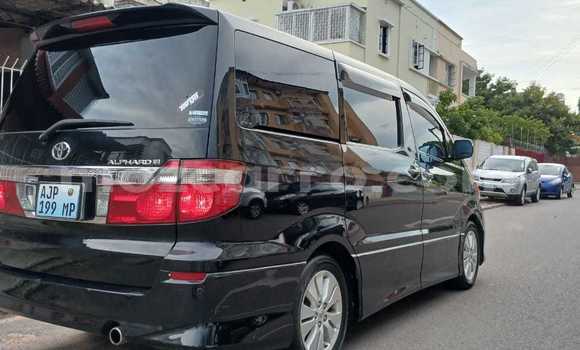 Tenga Tsaru Toyota Alphard Nhema Mota in Maputo in Maputo Tenga Tsaru Toyota Alphard Nhema Mota in Maputo in Maputo