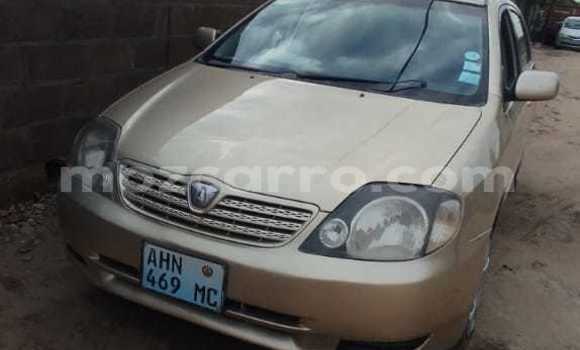 Nunua Ilio tumika Toyota Runx Nyingine Gari ndani ya Maputo nchini Maputo Nunua Ilio tumika Toyota Runx Nyingine Gari ndani ya Maputo nchini Maputo