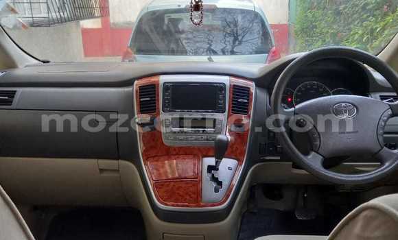 Tenga Tsaru Toyota Alphard Zvimwe Mota in Maputo in Maputo Tenga Tsaru Toyota Alphard Zvimwe Mota in Maputo in Maputo