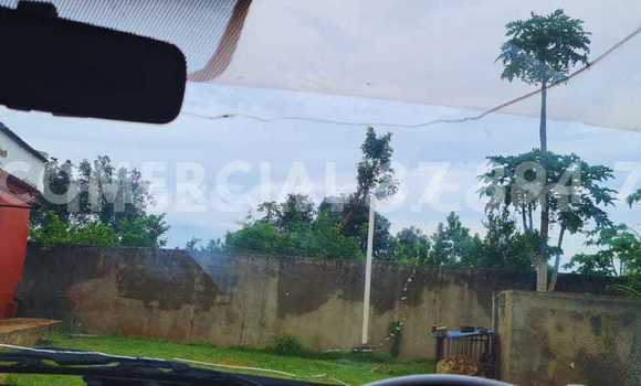 Comprar Usado Nissan NP 300 Branco Carro em Maputo em Maputo Comprar Usado Nissan NP 300 Branco Carro em Maputo em Maputo