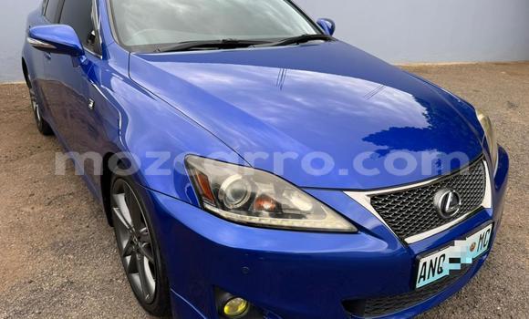 Buy New Lexus IS Blue Car in Maputo in Maputo Buy New Lexus IS Blue Car in Maputo in Maputo