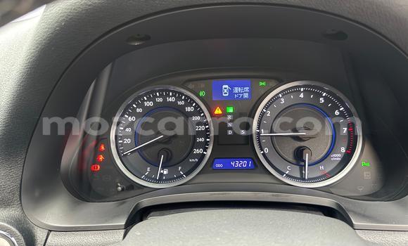 Buy New Lexus IS Blue Car in Maputo in Maputo Buy New Lexus IS Blue Car in Maputo in Maputo