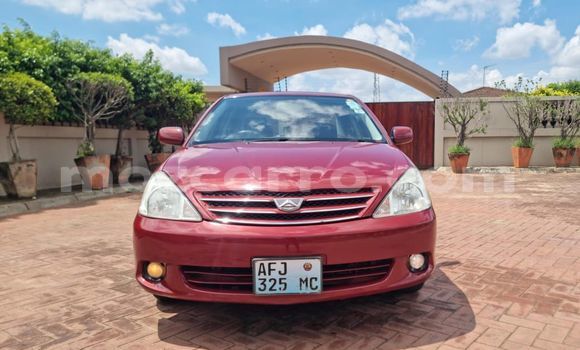 Buy Used Toyota Allion Red Car in Maputo in Maputo Buy Used Toyota Allion Red Car in Maputo in Maputo