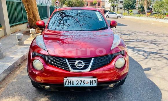 Buy Used Nissan Juke Red Car in Maputo in Maputo Buy Used Nissan Juke Red Car in Maputo in Maputo