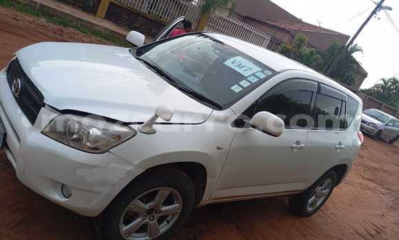 Nunua Ilio tumika Toyota RAV4 Nyeupe Gari ndani ya Maputo nchini Maputo Nunua Ilio tumika Toyota RAV4 Nyeupe Gari ndani ya Maputo nchini Maputo