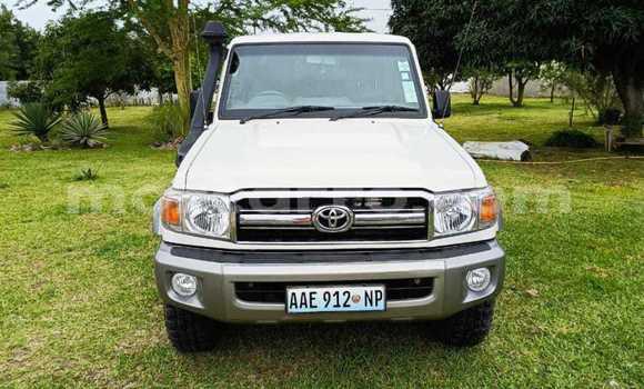 Tenga Tsaru Toyota Land Cruiser Chena Mota in Maputo in Maputo Tenga Tsaru Toyota Land Cruiser Chena Mota in Maputo in Maputo