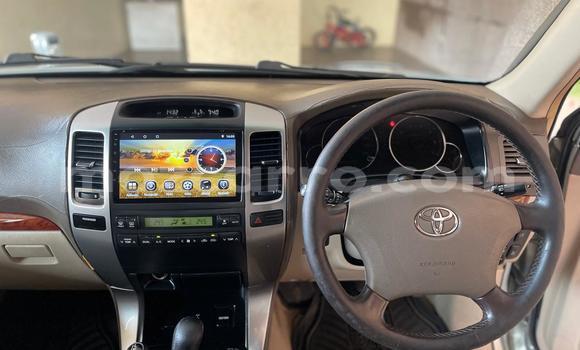Buy Used Toyota Land Cruiser Prado Other Car in Maputo in Maputo Buy Used Toyota Land Cruiser Prado Other Car in Maputo in Maputo